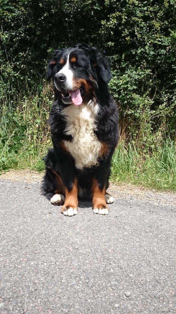 J'aimerai savoir du château de la Nougatine